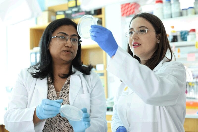 Gerta Hoxhaj and a colleague in the lab examining a sample in a petri dish.